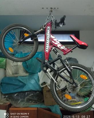 Bicicletta Mountain bike
