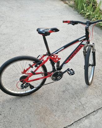 bicicletta mtb