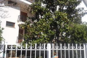 Mesi estivi a s.severa