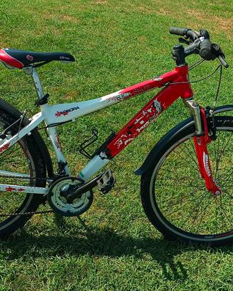 BICICLETTA 