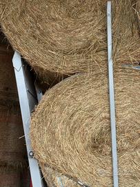 Fieno in rotoballe