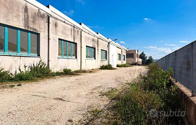 Capannone industriale con uffici zona Cerretano