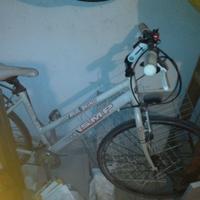 Bicicletta