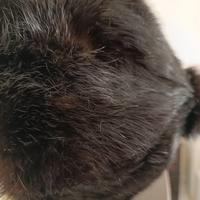 Cappello di visone autentico  vintage chic