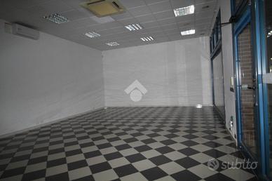 MULTILOCALE A PEGOGNAGA