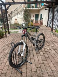 Specialized Status