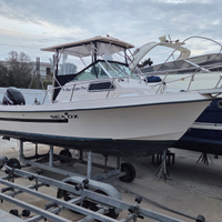 Sea ox 230c permuto con open