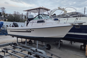 Sea ox 230c permuto con open