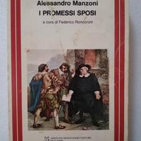 Libro "I Promessi Sposi" del 1984