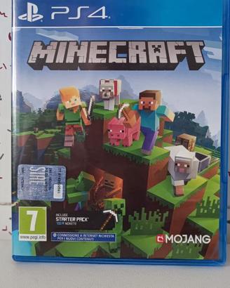 Minecraft Per PS4