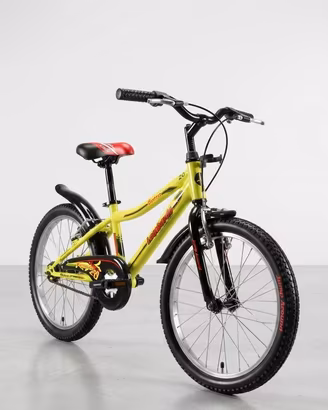 bicicletta bambino