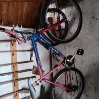 bicicletta con cambio, biciclette da donna