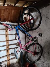 bicicletta con cambio, biciclette da donna