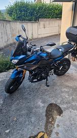 tracer 900 gt