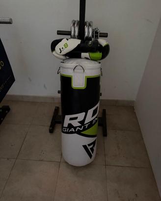 Sacco da Boxe + guantoni