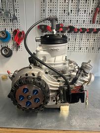 Motore Iame Screamer 3