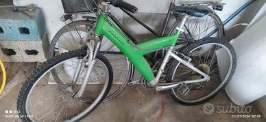 bicicletta 