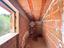Immagine 28