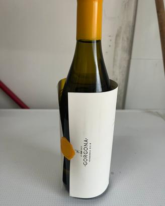 Gorgona bianco