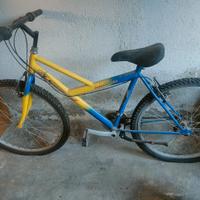 Mountain bike