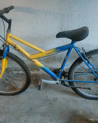Mountain bike