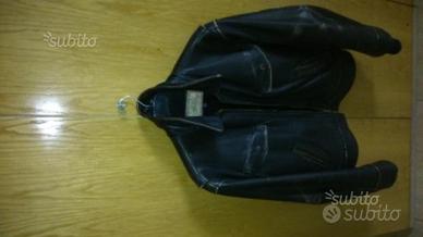 Trevor testa di moro