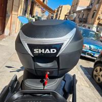 Bauletto Shad 34 Nuovo