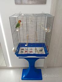 Gabbia più pappagallo inseparabile
