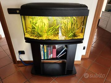 Acquario con mobiletto e tutti gli accessori