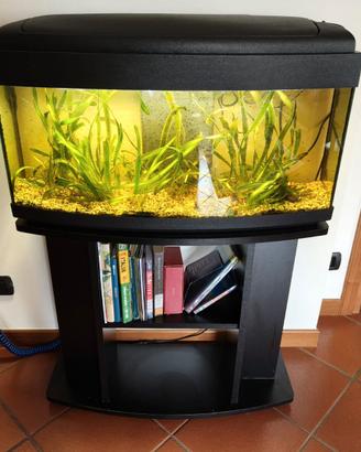 Acquario con mobiletto e tutti gli accessori