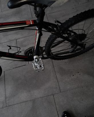 bicicletta