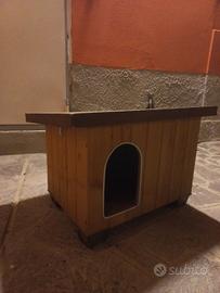 cuccia per cani 