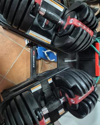 Manubri Bowflex regolabili 