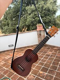 Ukulele Kala