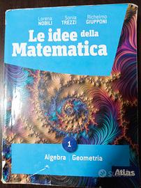 libro le idee della matematica Vol 1  Atlas
