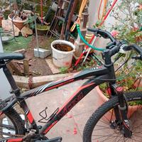 Bici da passeggio per donna/Mountain Bike da uomo