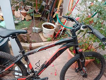 Bici da passeggio per donna/Mountain Bike da uomo