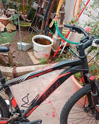 Bici da passeggio per donna/Mountain Bike da uomo