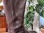 Immagine 4