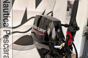 ULTIMO Mercury F30 EMLHGA EFI - TASSO ZERO