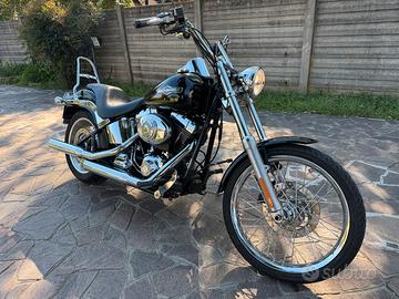 HD Softail Custom