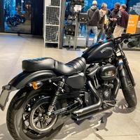 Harley Davidson sportster 883 Iron