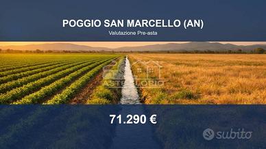 Immobile in asta di 60317 m² a Poggio San Marcello