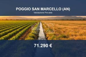 Immobile in asta di 60317 m² a Poggio San Marcello