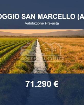 Immobile in asta di 60317 m² a Poggio San Marcello