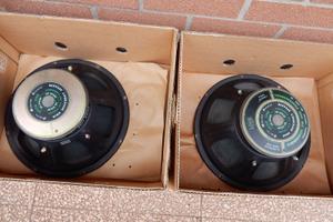 SUBWOOFER AUTO 38 CM LOOK LINE