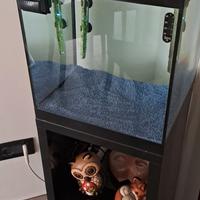 acquario askoll pure led 40 lt