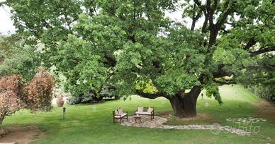 Appartamento in villa