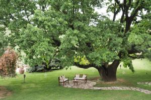 Appartamento in villa