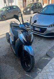 Sh 300 abs 2018
